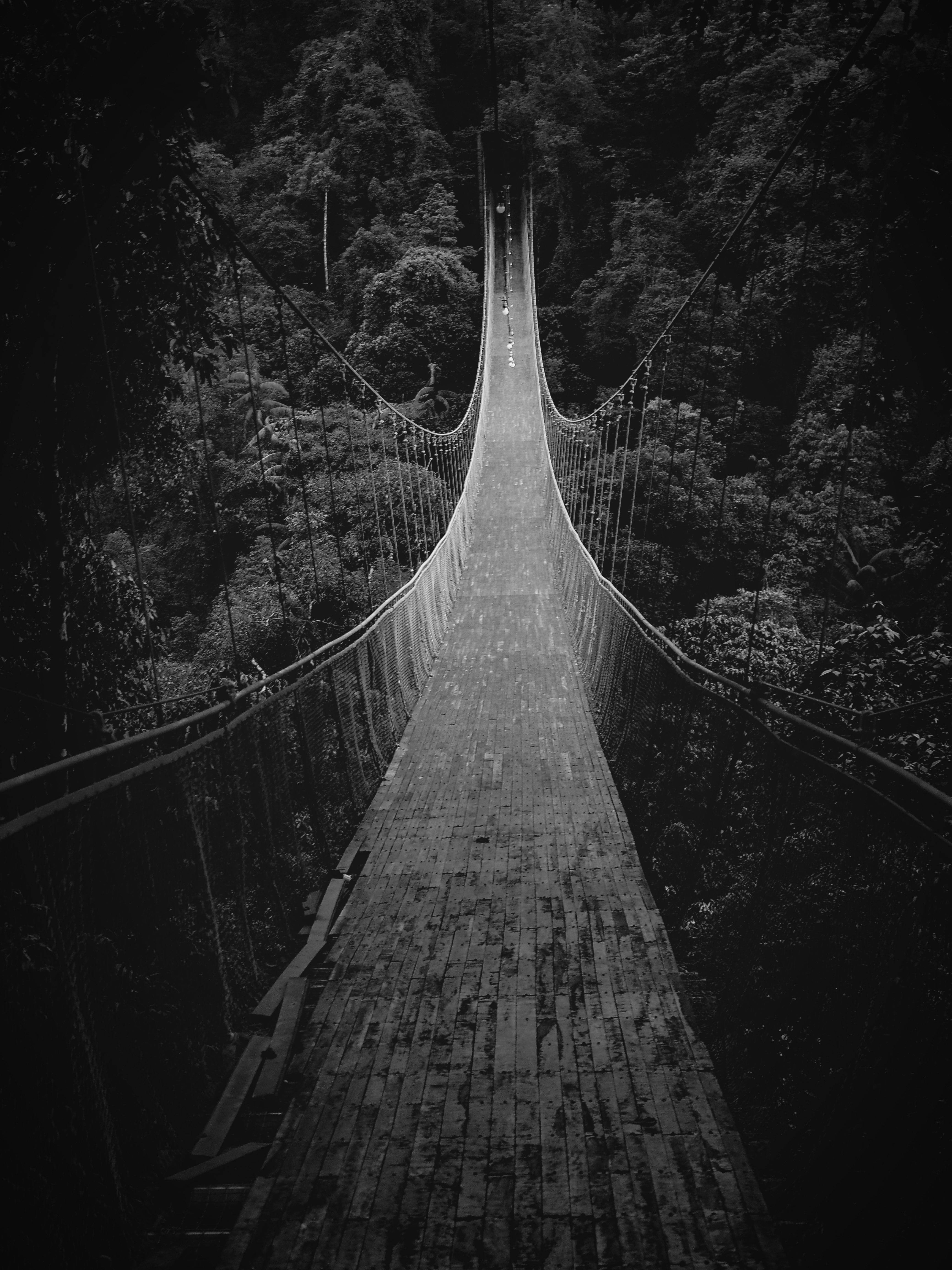 grayscale photography of bridge